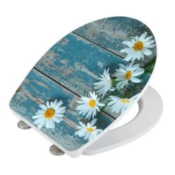 Wenko WC-Sitz Asteride Duroplast Acryl -Wenko 05409 sb freisteller de 03