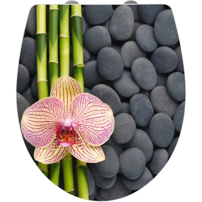 Wenko WC-Sitz Hochglanz Acryl Absenkautomatik Spa 3 Wenko WC-Sitz Hochglanz Acryl Absenkautomatik Spa