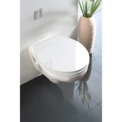Wenko WC-Sitz Hochglanz Acryl Absenkautomatik White -Wenko 679603 1068 4